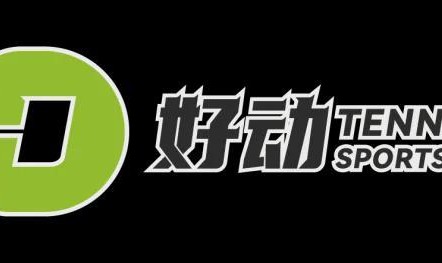 10年前我们熟悉的名字，正在一个又一个离开网球场